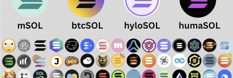 2025 年最受欢迎的 Solana LST:mSOL、btcSOL、hyloSOL 与 humaSOL 深度解析